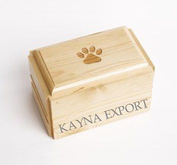 Kayna Export Product
