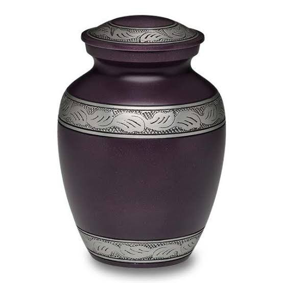 Kayna Export Product