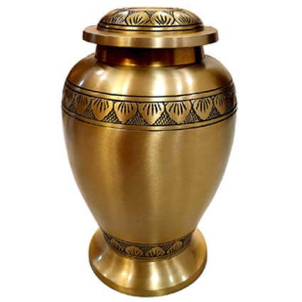 Kayna Export Product