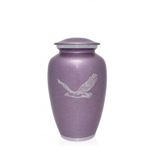 Kayna Export Product