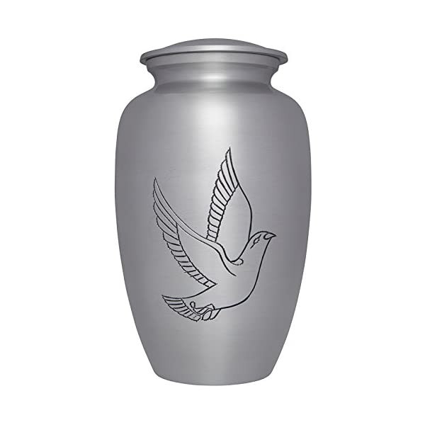 Kayna Export Product