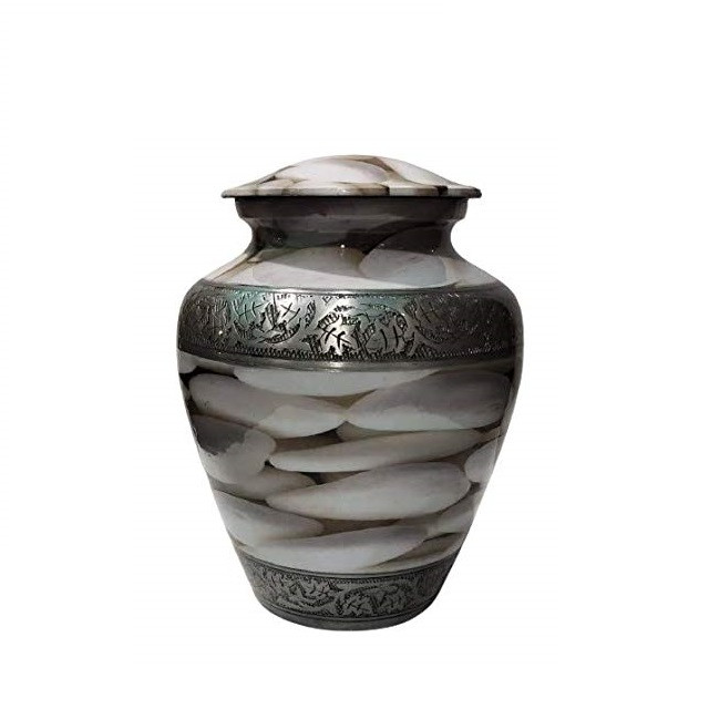 Kayna Export Product