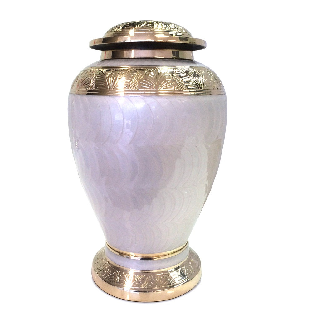 Kayna Export Product